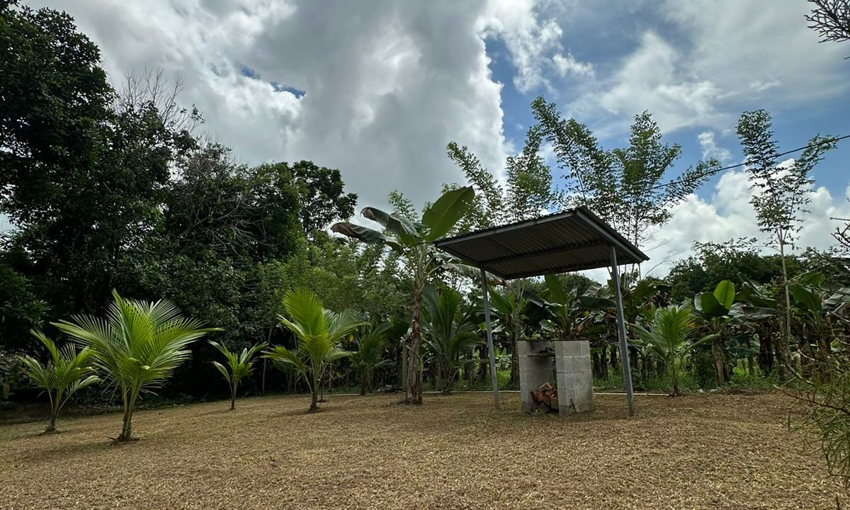 Cabaña Los Carmona - Rio Celeste foto 4