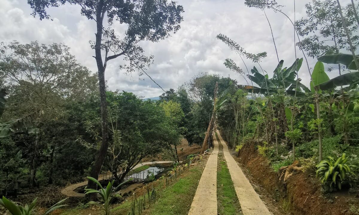 Cabaña Los Carmona - Rio Celeste foto 7